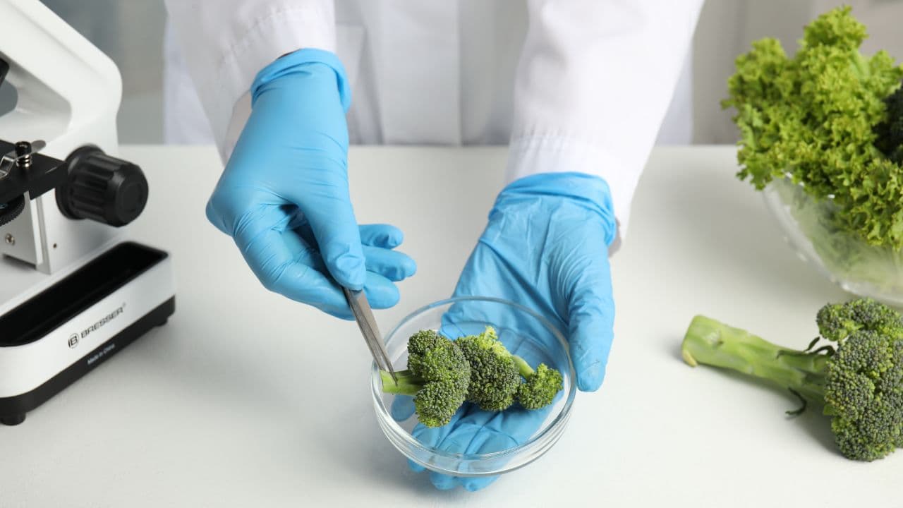 Agrochemical company India market entry